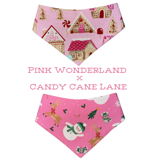 Pink Wonderland x Candy Cane Lane